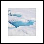 Arctic Greenland 010